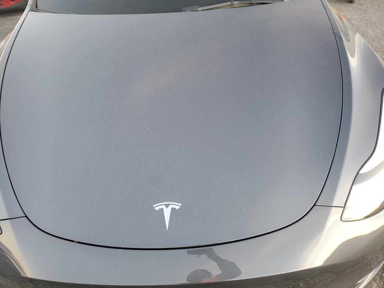 2023 TESLA MODEL Y VIN:7SAYGDEE8PA109344