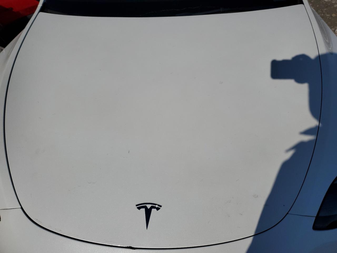 2023 TESLA MODEL Y VIN:7SAYGDEF6PF789000