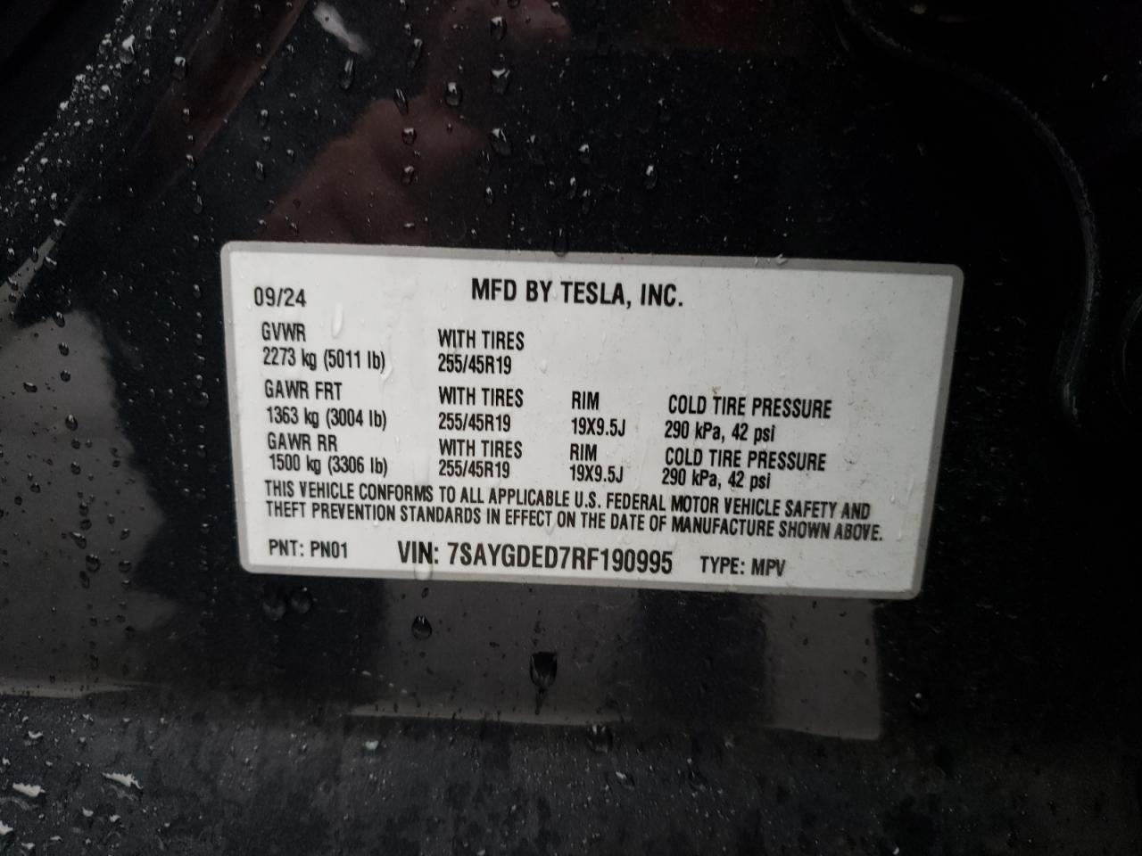 2024 TESLA MODEL Y VIN:7SAYGDED7RF190995