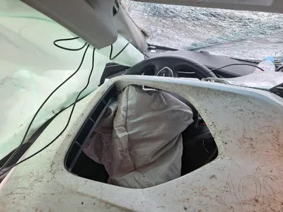 2020 Hyundai Santa FE KMHS281BBLU239686 VIN:KMHS281BBLU239686