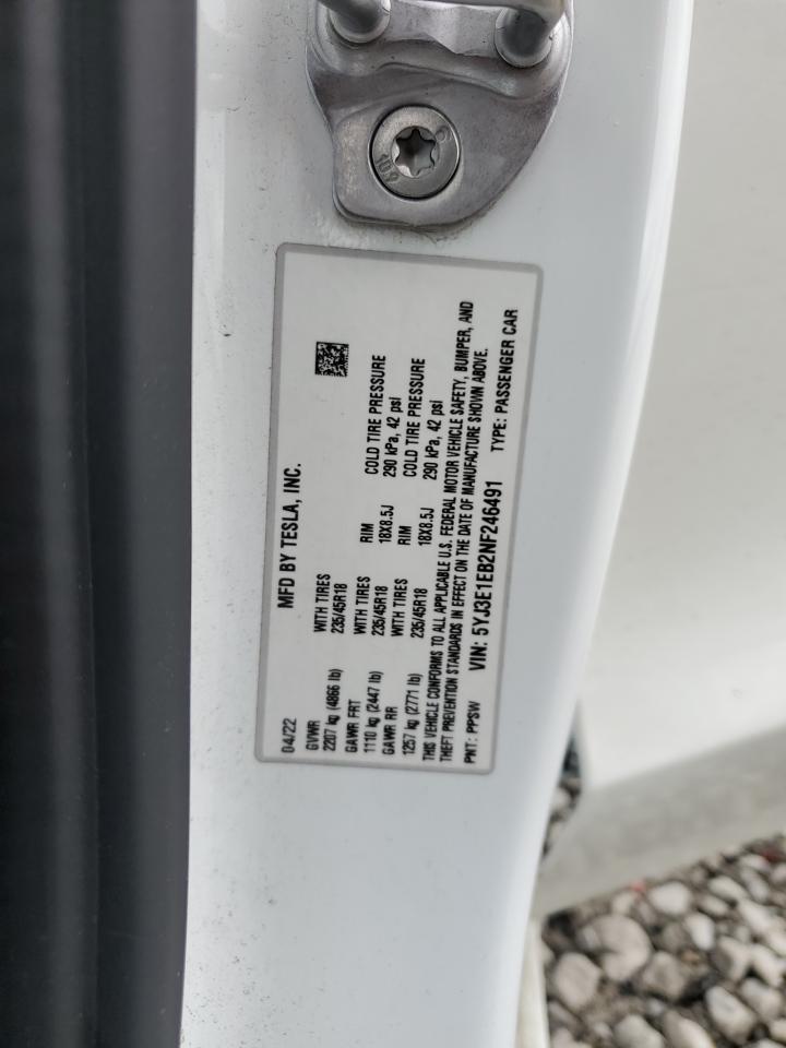 2022 TESLA MODEL 3 VIN:5YJ3E1EB2NF246491