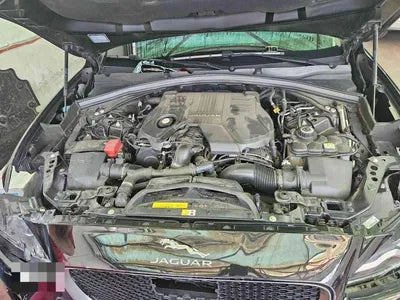 2019 Jaguar F-Pace SADCA2BK0KA352677 VIN:SADCA2BK0KA352677