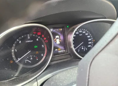 2018 Hyundai Santa FE KMHSW81UBJU788875 VIN:KMHSW81UBJU788875