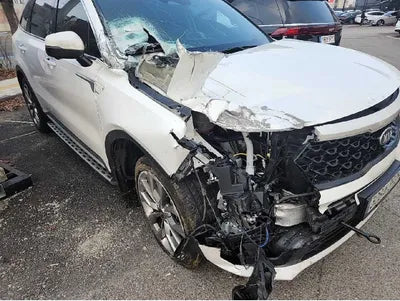 2021 Kia Sorento KNARH81BHMA048343 VIN:KNARH81BHMA048343