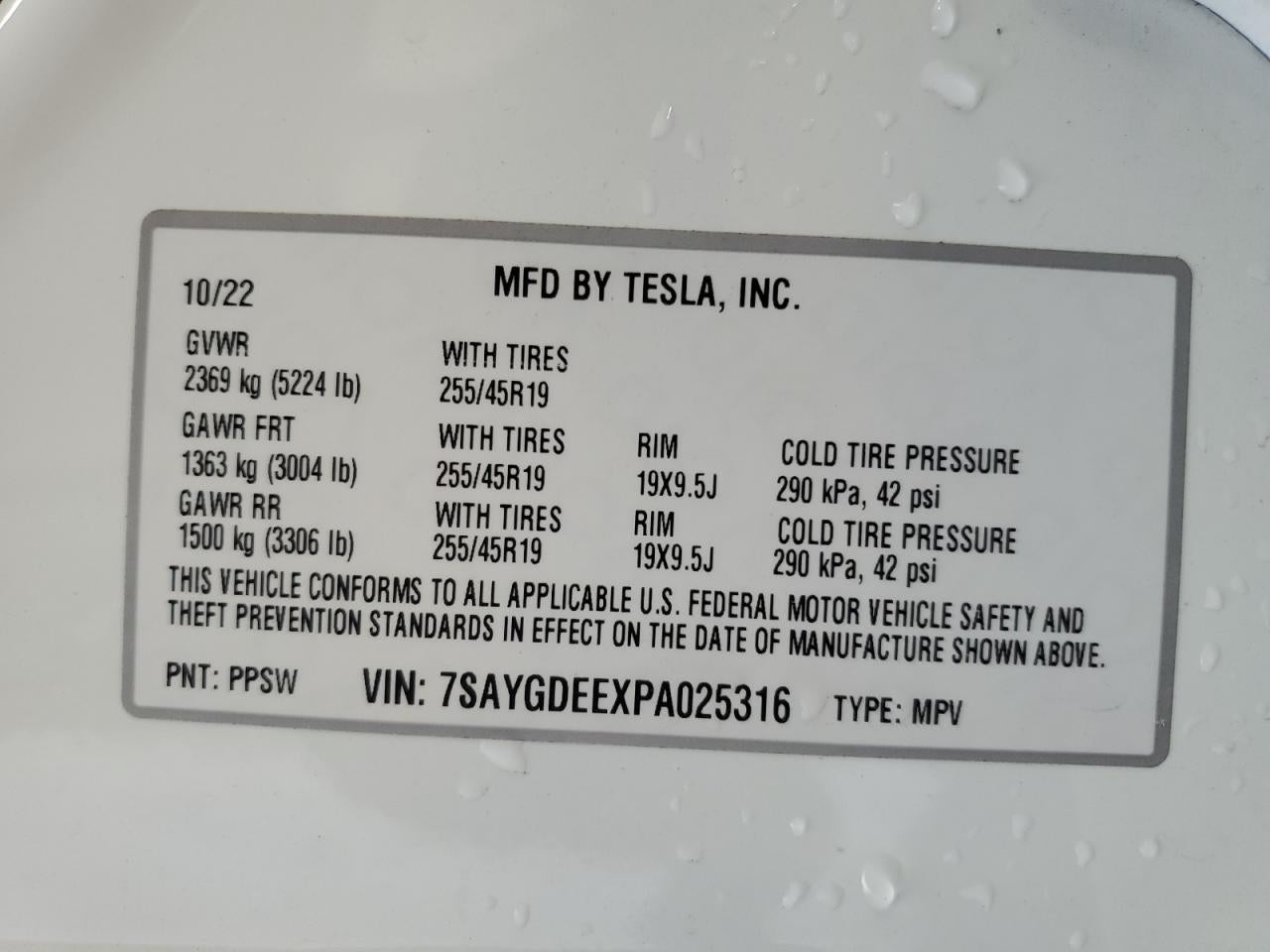 2023 TESLA MODEL Y VIN:7SAYGDEEXPA025316