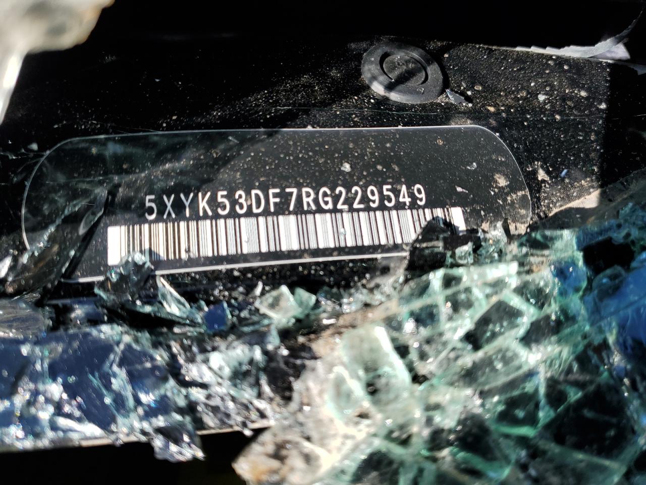 2024 KIA SPORTAGE SX PRESTIGE VIN:5XYK53DF7RG229549