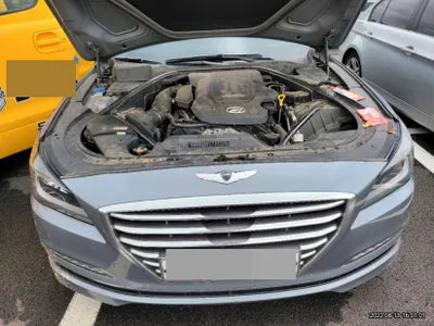 2016 acupuncture nessis 3.3 VIN: