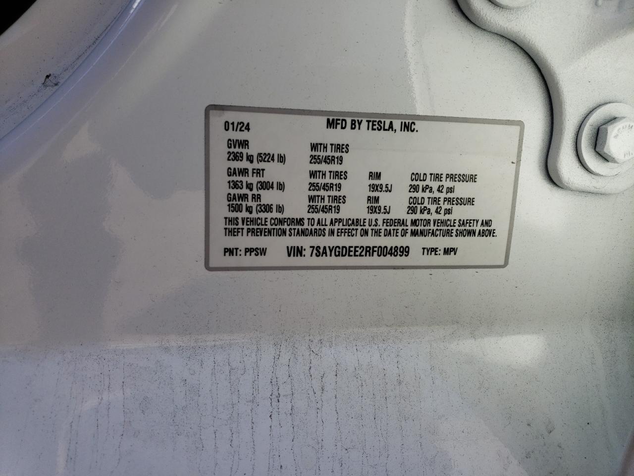 2024 TESLA MODEL Y VIN:7SAYGDEE2RF004899