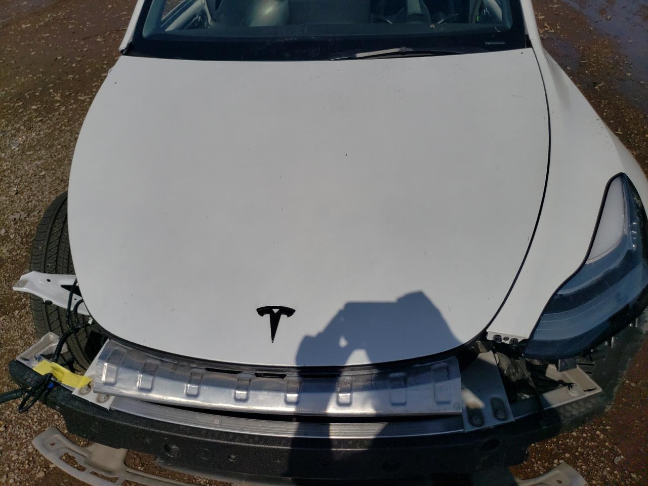 2023 TESLA MODEL Y VIN:7SAYGDEE4PA079484