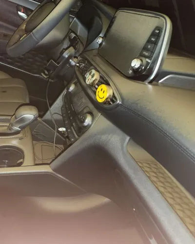 2019 Hyundai Santa FE KMHS381ABKU102827 VIN:KMHS381ABKU102827