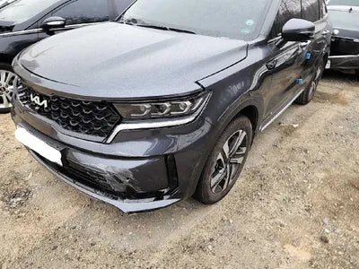 2022 Kia Sorento KNARH81GBNA101047 VIN:KNARH81GBNA101047