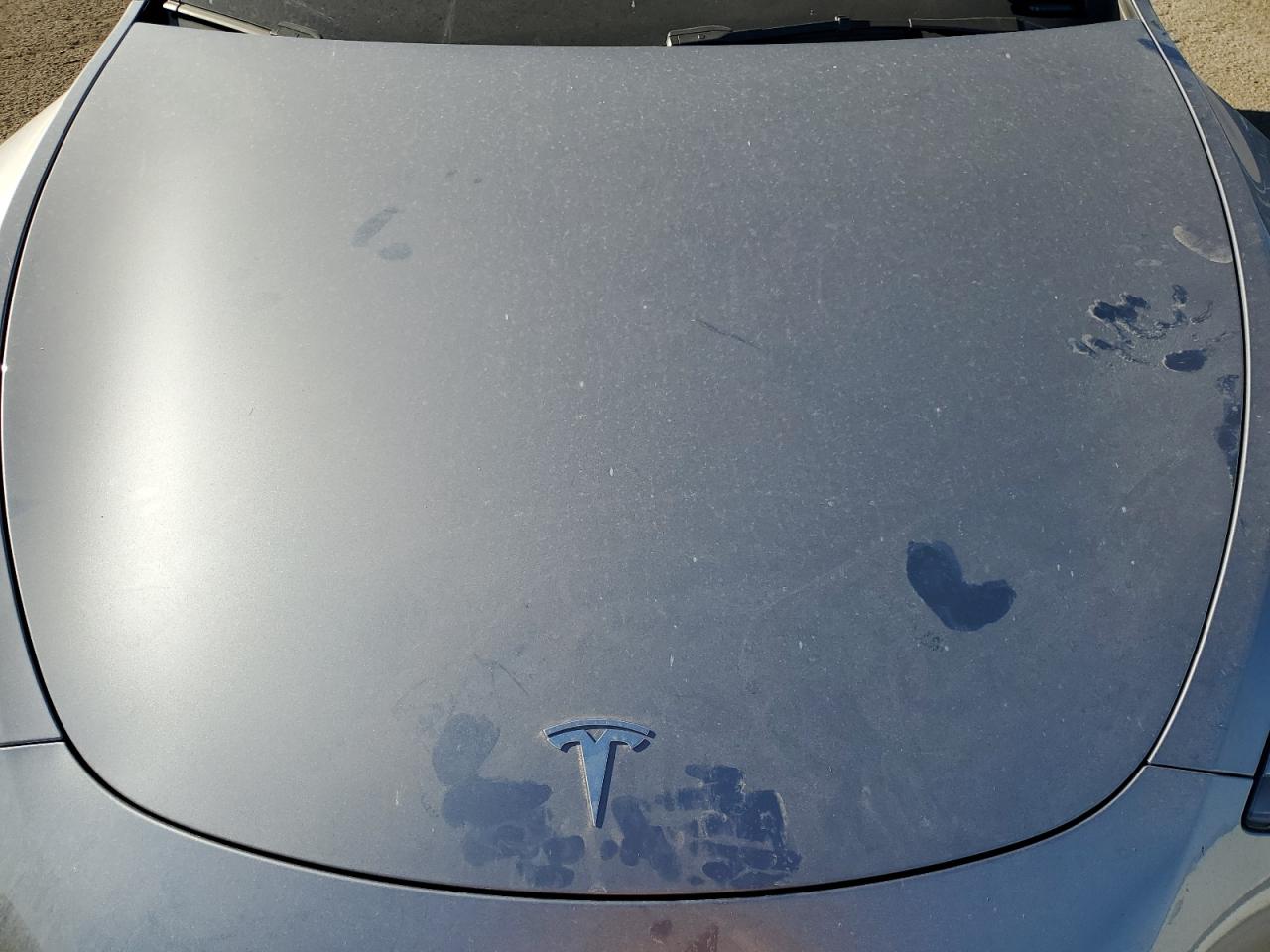 2024 TESLA MODEL Y VIN:7SAYGDEE0RA299398