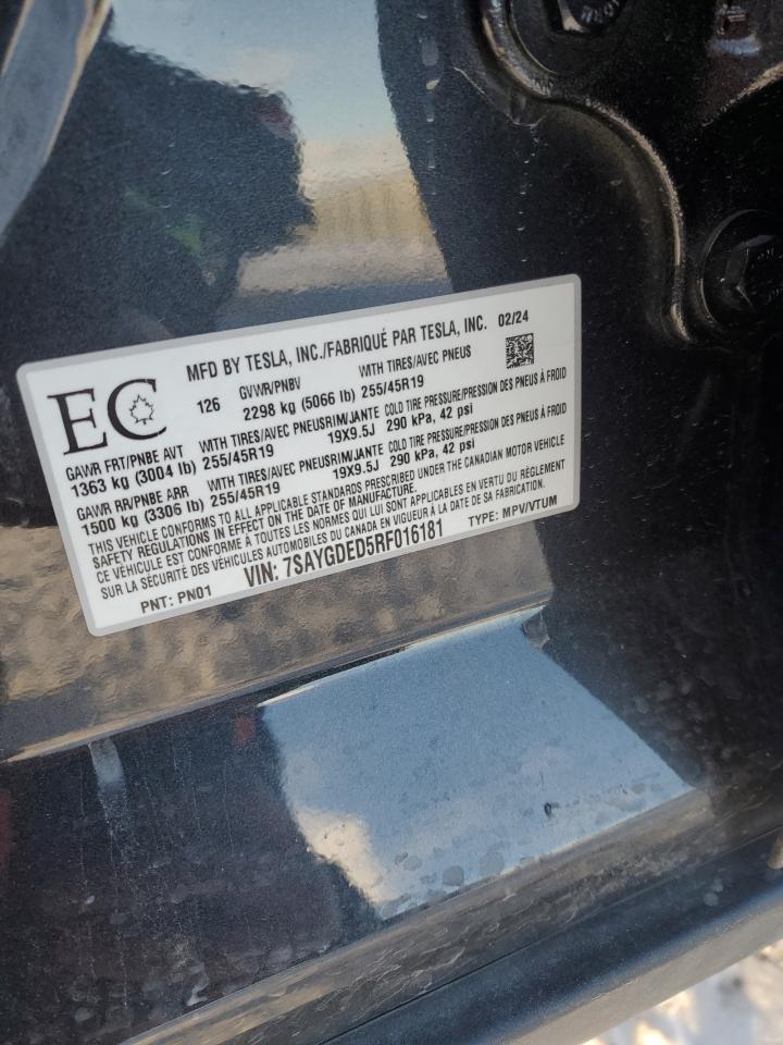 2024 TESLA MODEL Y VIN:7SAYGDED5RF016181