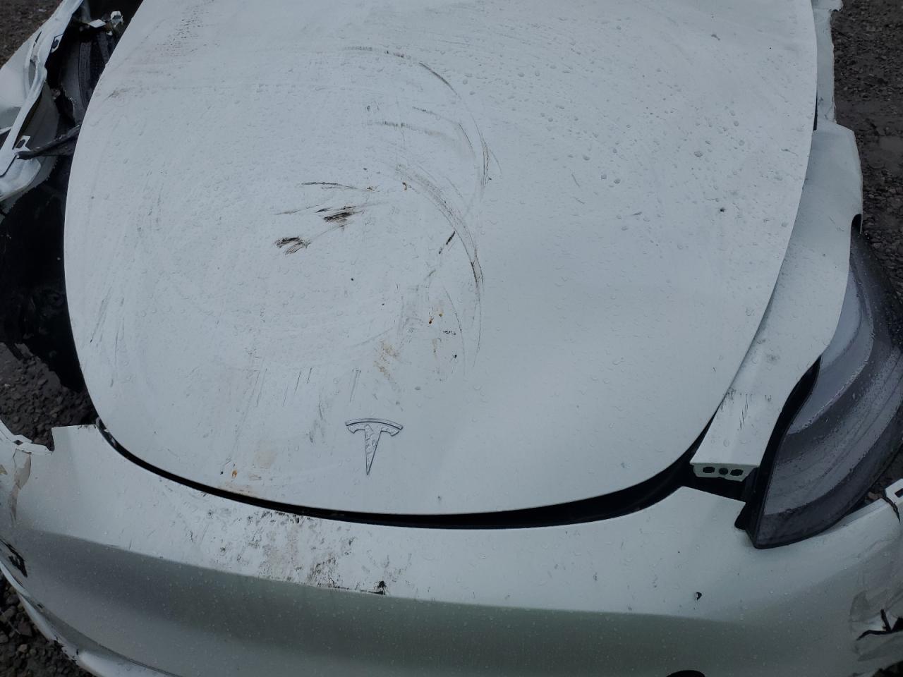 2023 TESLA MODEL Y VIN:7SAYGDEF5PF958617