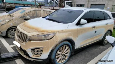 2017 Kia Sorento 319KMKNAPH81ABHA2 VIN:319KMKNAPH81ABHA2