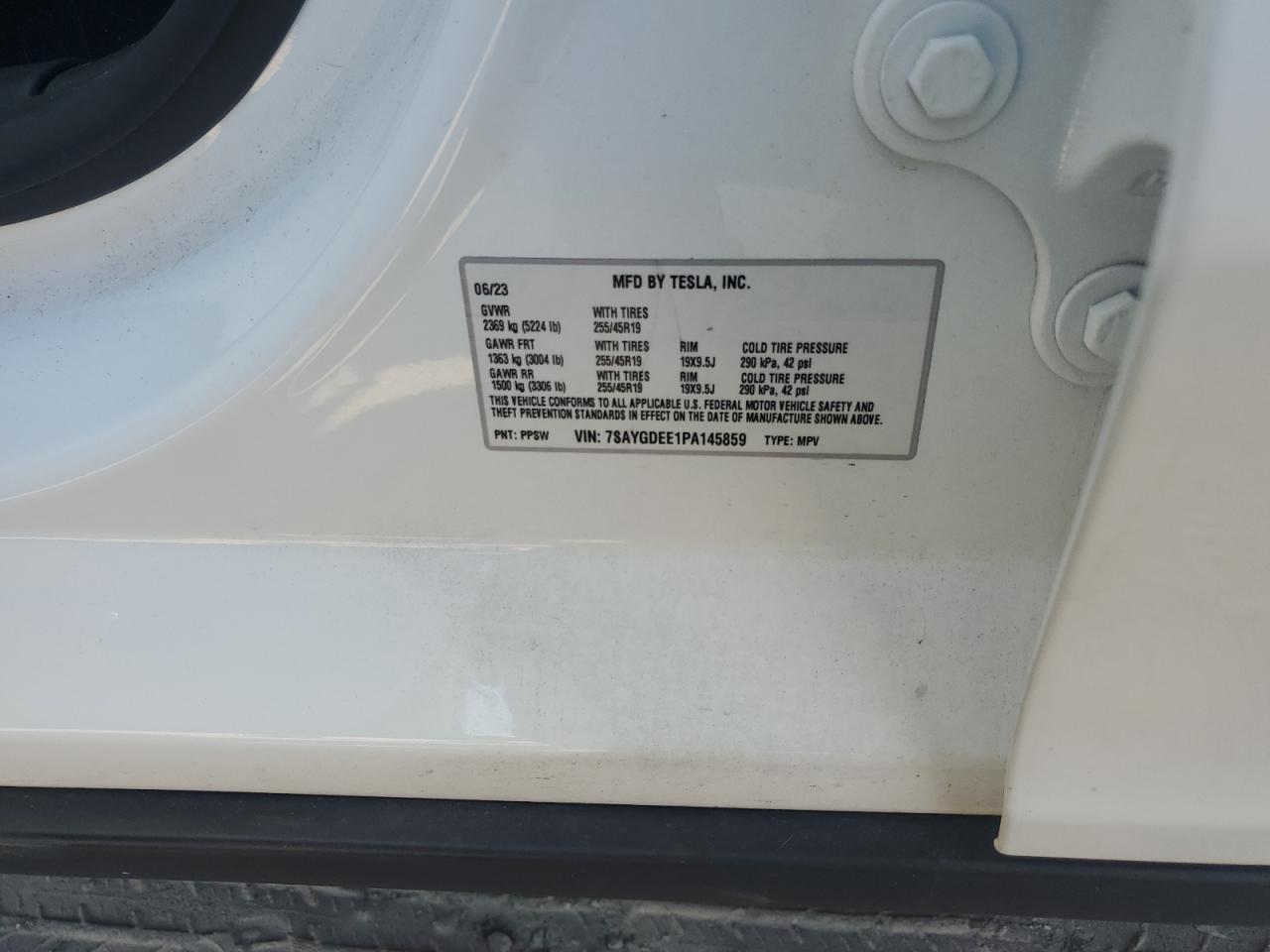 2023 TESLA MODEL Y VIN:7SAYGDEE1PA145859