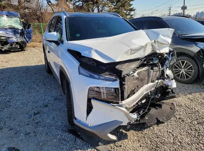 2021 Hyundai Santa FE KMHS381LGMU386248 VIN:KMHS381LGMU386248