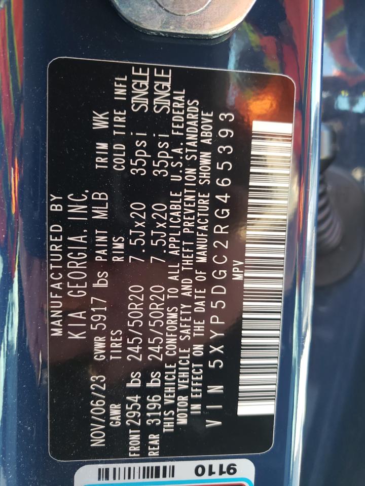 2024 KIA TELLURIDE SX VIN:5XYP5DGC2RG465393