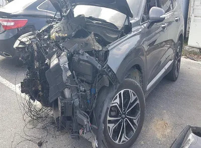 2020 Hyundai Santa FE KMHS281CDLU252464 VIN:KMHS281CDLU252464