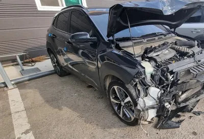 2018 Hyundai Kona KMHK4815GJU108517 VIN:KMHK4815GJU108517