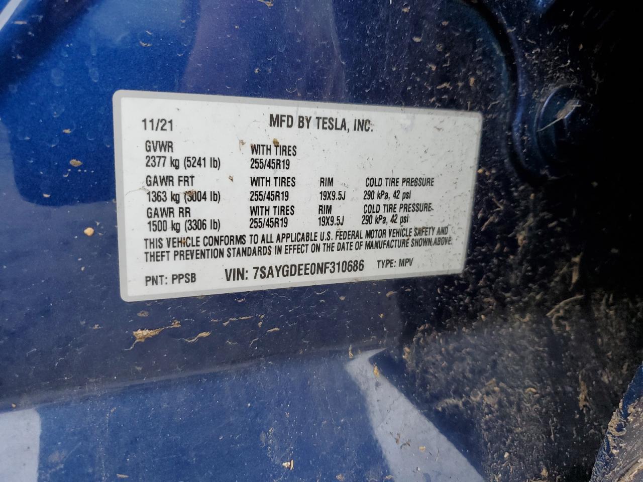 2022 TESLA MODEL Y VIN:7SAYGDEE0NF310686