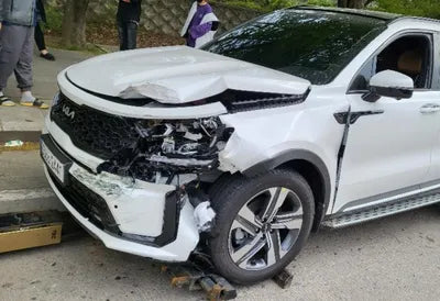 2022 Kia Sorento KNARL81GBNA106902 VIN:KNARL81GBNA106902