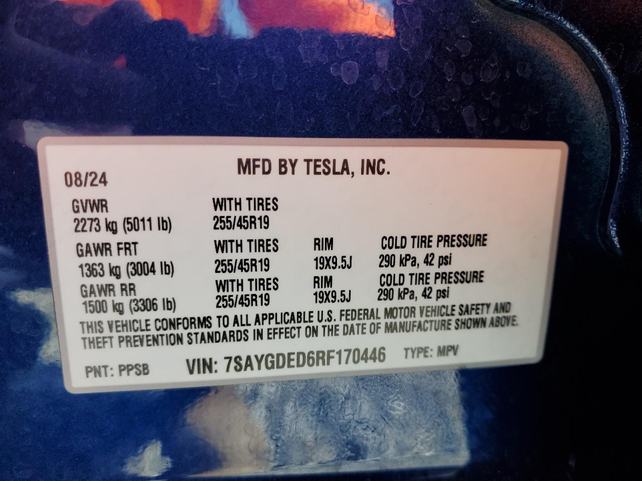 2024 TESLA MODEL Y VIN:7SAYGDED6RF170446