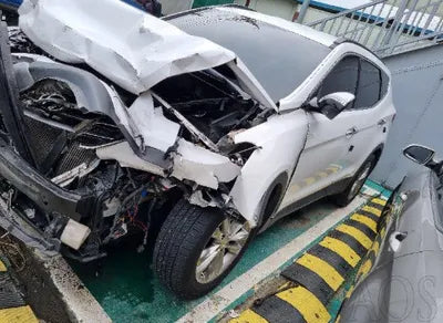 2018 Hyundai Santa FE KMHSW81UBJU798895 VIN:KMHSW81UBJU798895