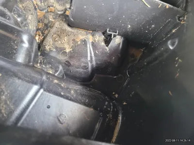 2022 BMW 120 WBA11DG09N5V29792 VIN:WBA11DG09N5V29792