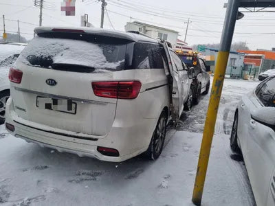 2019 Kia Carnival 115KMKNAME81ABKS5 VIN:115KMKNAME81ABKS5
