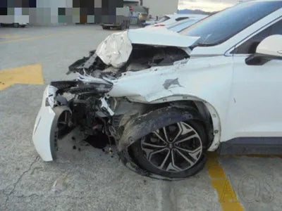 2018 Hyundai Santa FE KMHS281BDKU120334 VIN:KMHS281BDKU120334