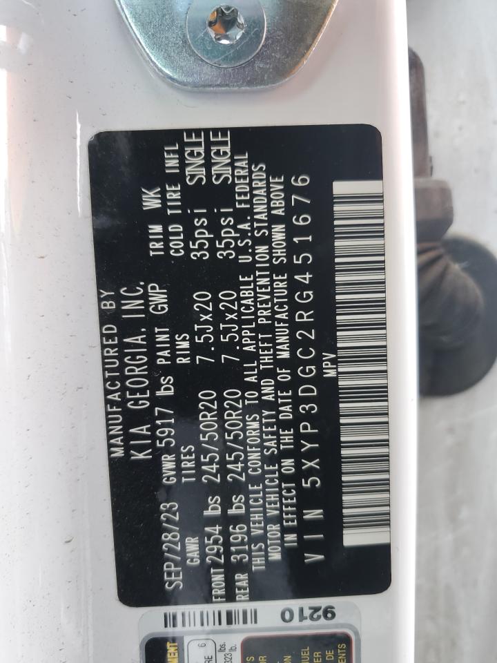 2024 KIA TELLURIDE EX VIN:5XYP3DGC2RG451676