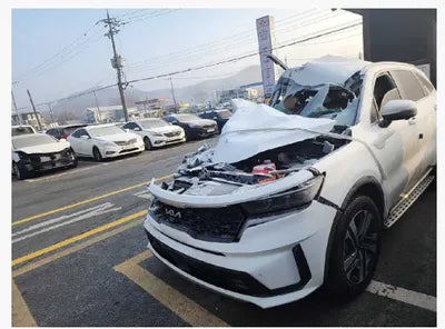 2023 Kia Sorento KNARK81GBPA167065 VIN:KNARK81GBPA167065