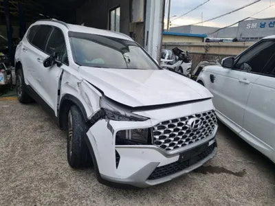 2021 Hyundai Santa FE KMHS381HGMU338124 VIN:KMHS381HGMU338124