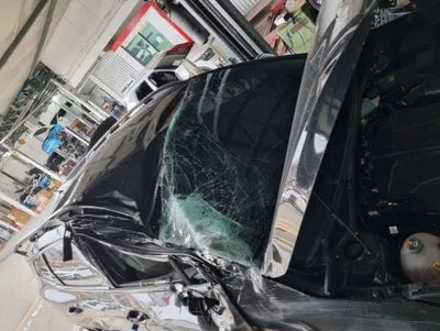 2022 Kia Sportage KNAPX81CDNK024534 VIN:KNAPX81CDNK024534