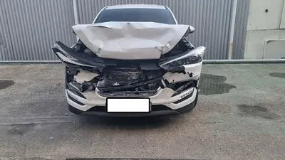 2016 Hyundai Tucson KMHJ381ABGU026409 VIN:KMHJ381ABGU026409