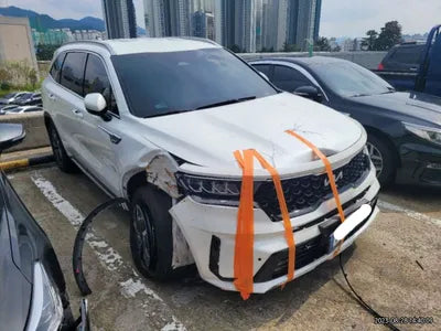 2022 Kia Sorento KNARK81GBNA076966 VIN:KNARK81GBNA076966