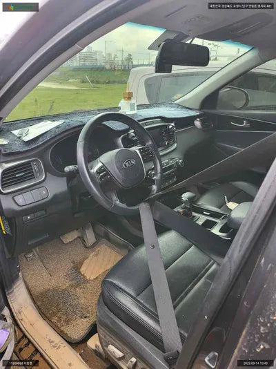 2018 Kia Sorento KNAPG81ABJA428230 VIN:KNAPG81ABJA428230