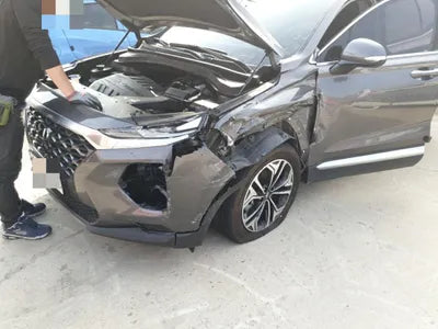 2019 Hyundai Santa FE KMHS381BBLU194994 VIN:KMHS381BBLU194994