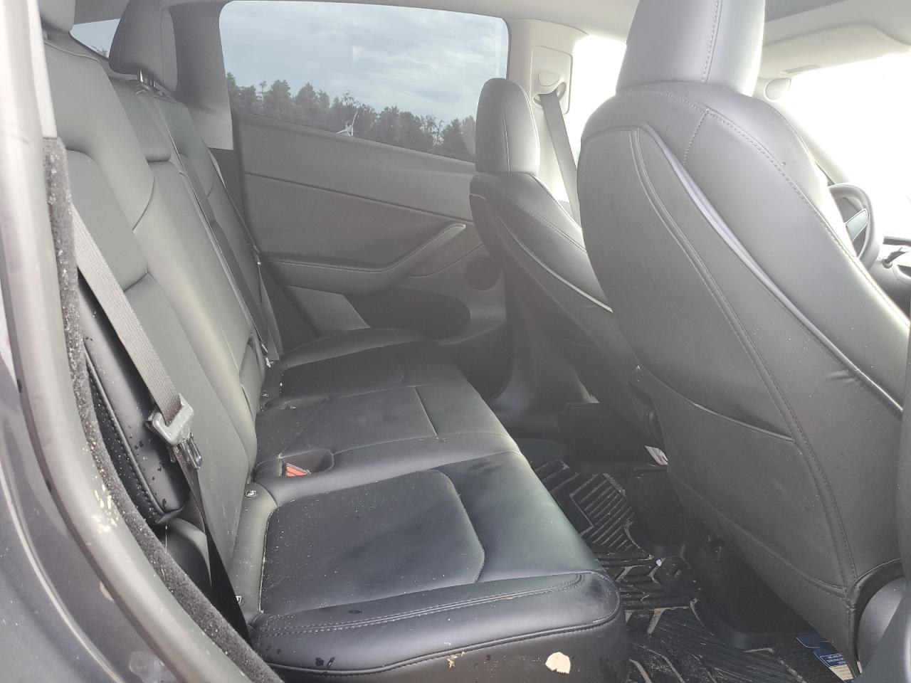 2023 TESLA MODEL Y VIN:7SAYGDEF8PF762932