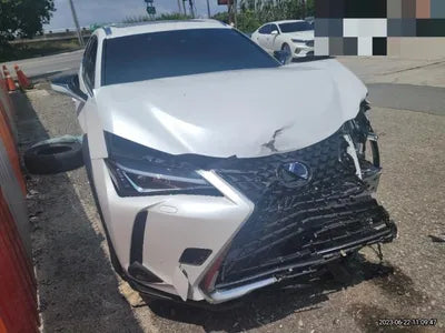 2021 Lexus UX 250 VIN: