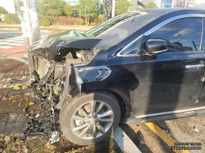 2019 Kia Carnival KNAME811BKS493086 VIN:KNAME811BKS493086