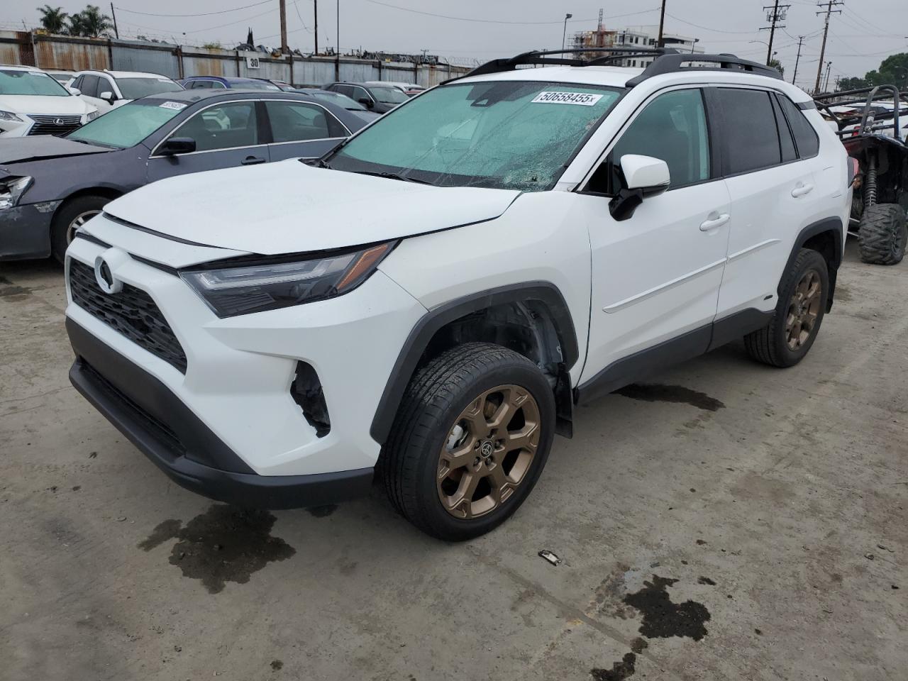 2023 TOYOTA RAV4 WOODLAND EDITION VIN:2T3UWRFV1PW154391