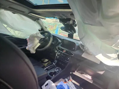 2019 Hyundai Santa FE KMHS381CBKU167269 VIN:KMHS381CBKU167269