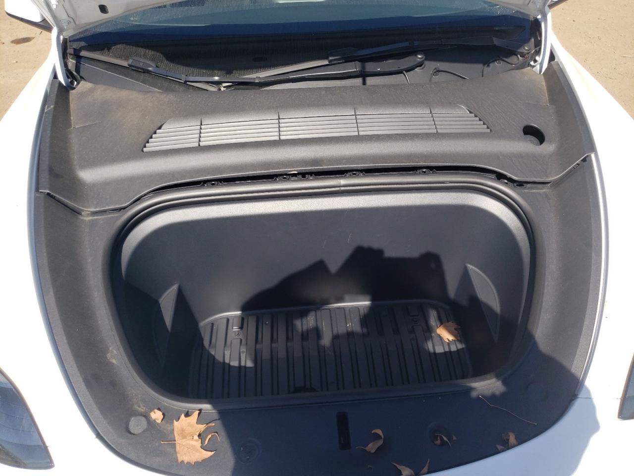 2023 TESLA MODEL Y VIN:7SAYGDEEXPF675010