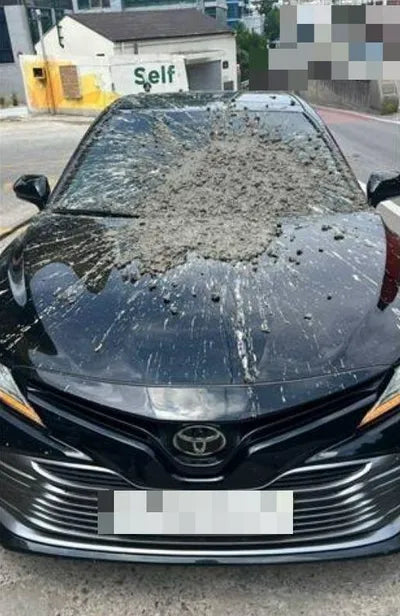2019 Toyota Camry JTNB11HK8K3088732 VIN:JTNB11HK8K3088732