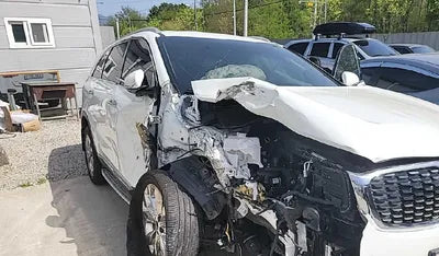 2019 Kia Sorento 611KMKNAPG81ABKA4 VIN:611KMKNAPG81ABKA4
