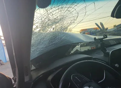 2020 Hyundai Santa FE KMKMHS281BBLU2313 VIN:KMKMHS281BBLU2313