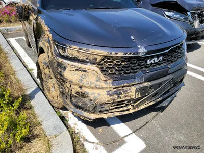 2023 Kia Sorento KNARL81GBPA144089 VIN:KNARL81GBPA144089