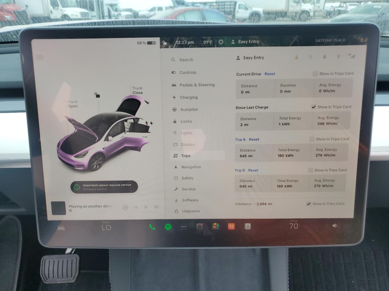 2024 TESLA MODEL Y VIN:7SAYGDEE3RA236358